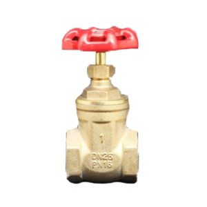 Brass Valves Gate Valve