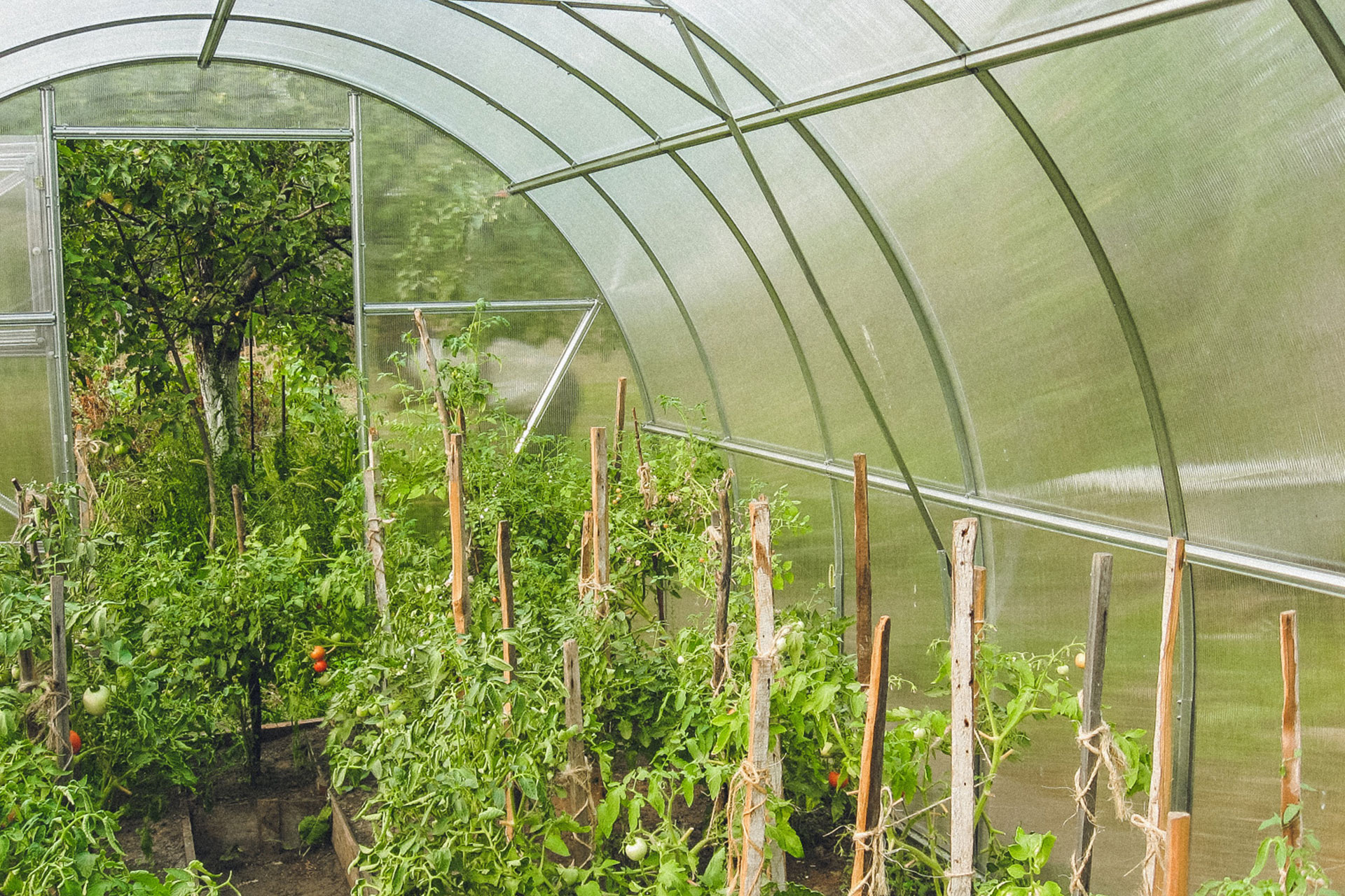 greenhouse polycarbonate roof